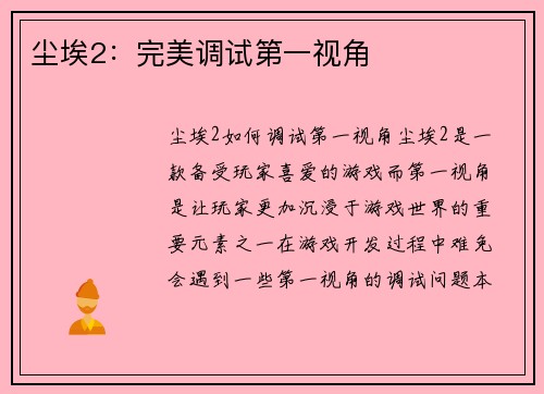 尘埃2：完美调试第一视角